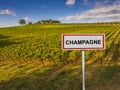 Champagne wine region of France