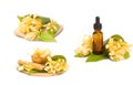 Champaka essential oil for spa aromatherapy Royalty Free Stock Photo