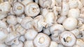 Champignon background in top view of mushroom in market for sale Royalty Free Stock Photo