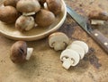 Champignon /Button mushroom