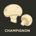 Champignon edible mushroom flat vector icon