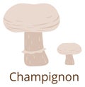 Champignon icon. Edible growing mushroom. Raw fungus