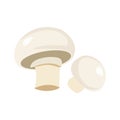 Champignon icon in a flat design on a white background. Vector illustration