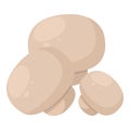 Champignon icon isometric vector. White uncooked edible mushroom icon Royalty Free Stock Photo