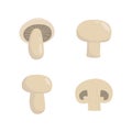 Champignon icon set on white background