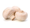 Champignon mushroom Royalty Free Stock Photo