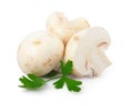 Champignon mushroom Royalty Free Stock Photo