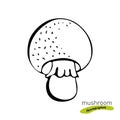 Champignon mushroom hand drawn vector illustration. Sketch food drawing isolated on white background. Organic vegetarian product. Royalty Free Stock Photo