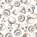 Champignon mushroom hand drawn vector seamless pattern