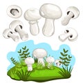 Champignon mushroom isolated, raster illustration