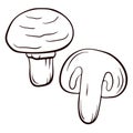 Champignon mushroom logo for menu, restaurant, printing in a line art style. Creative ink art work. Vector illustration Royalty Free Stock Photo