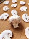 Champignon mushroom slice food plant wooden background macro photo Royalty Free Stock Photo