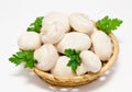 Champignon mushroom white agaricus in the basket