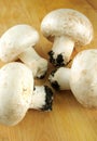 Champignon mushrooms