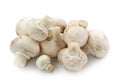 Champignon mushrooms Royalty Free Stock Photo