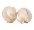 Champignon mushrooms close-up on a white background. Royalty Free Stock Photo