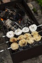 Champignon mushrooms are fried on skewers on the grill. Picnic in nature. Close-up. Vertical Royalty Free Stock Photo