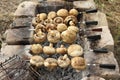 Champignon mushrooms are grilled on skewers. Fry mushrooms on a homemade stone grill. Royalty Free Stock Photo