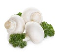 Champignon mushrooms isolated on white