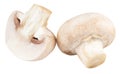 Champignon mushrooms isolated on white background, with clipping path Royalty Free Stock Photo