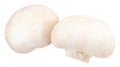 Champignon mushrooms isolated on white background, with clipping path Royalty Free Stock Photo