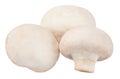 Champignon mushrooms isolated on white background, with clipping path Royalty Free Stock Photo