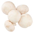 Champignon mushrooms isolated on white background, with clipping path Royalty Free Stock Photo