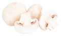 Champignon mushrooms isolated on white background, with clipping path Royalty Free Stock Photo