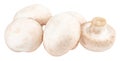 Champignon mushrooms isolated on white background, with clipping path Royalty Free Stock Photo