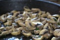Champignon mushrooms in pan