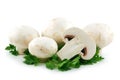 Champignon Mushrooms and Parsley Isolated