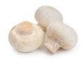 Champignon mushrooms. Three mushroom isolated on white background, close-up