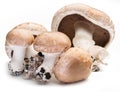 Champignon mushrooms on the white.