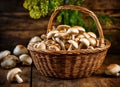 Champignon mushrooms in a wicker basket on a wooden table. Autumn harvest