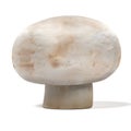 Champignon Royalty Free Stock Photo