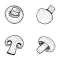 Champignon seamless hand drawn pattern isolated on white background. Seamless pattern of champignon. Doodle, great design for any