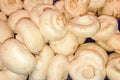 Champignon top view of mushroom in market for sale Royalty Free Stock Photo