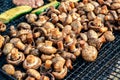 Champignon white mushrooms grilled on grill or BBQ steam and small drops of water. Cooking mushrooms on the grill.