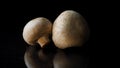 Champignons on a black background. Frame. Two mushrooms isolated on black reflective background. Royalty Free Stock Photo