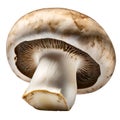 champignons, close-up, isolated on a white background