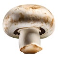 champignons, close-up, isolated on a white background