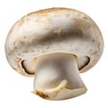 champignons, close-up, isolated on a white background