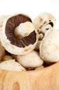 The champignons - detail Royalty Free Stock Photo