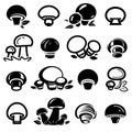 Champignons set. Collection icon champignon. Vector