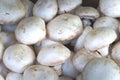 Champignons. white mushroom for sale on market. Agriculture background. Top view. Close-up Royalty Free Stock Photo