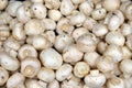 Champignons - whole uncoocked mushrooms background - top view of white field mushrooms piled for sale at the food market, ripe and Royalty Free Stock Photo
