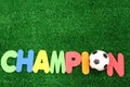 Champion ball Royalty Free Stock Photo