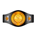 Champion belt box award sport icon flat web sign symbol logo label Royalty Free Stock Photo