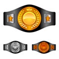 Champion belt box award sport icon flat web sign symbol logo label Royalty Free Stock Photo