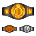 Champion belt box award sport icon flat web sign symbol logo label